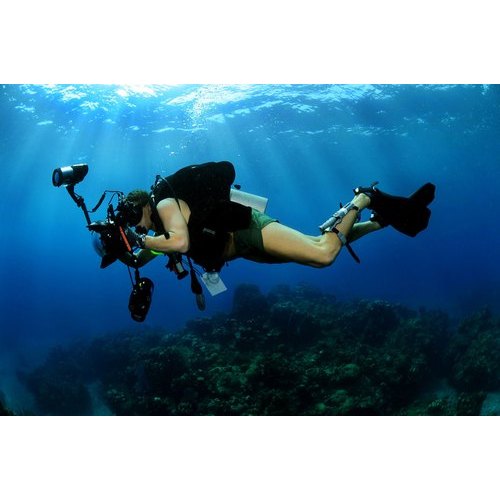 Underwater Photography Services, Event Location: Pan India