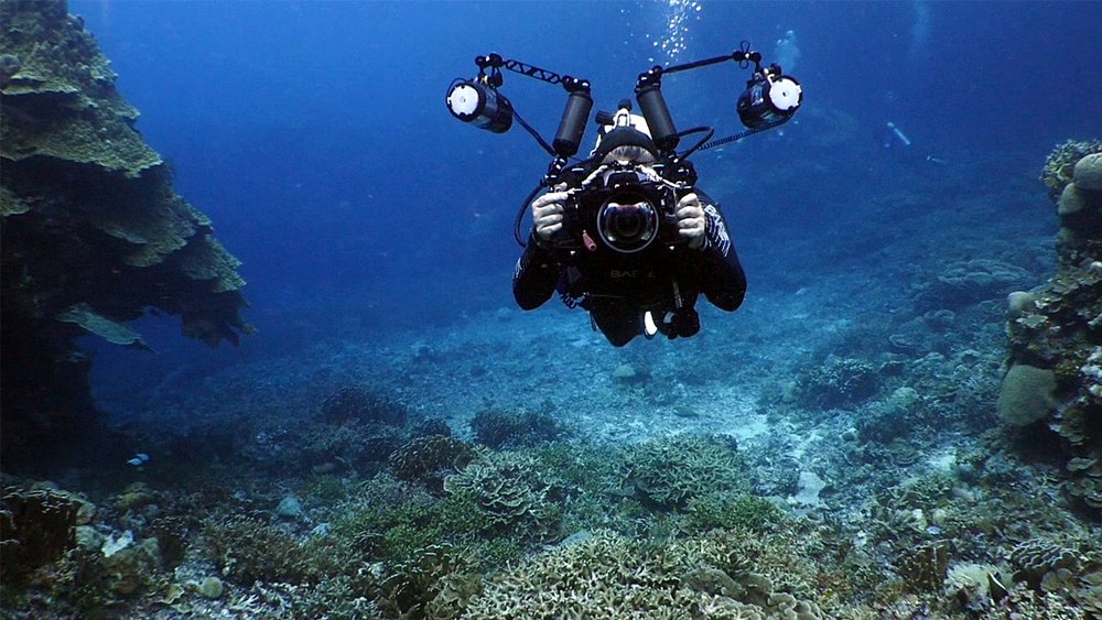 Underwater Videography & Photography