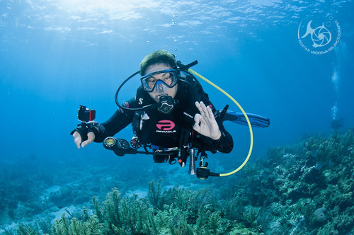 Underwater Photography Services