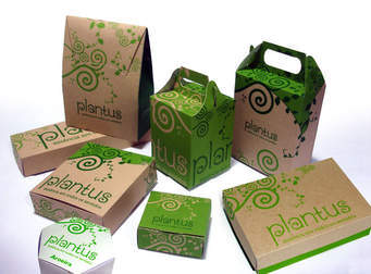 Custom Packaging Solutions