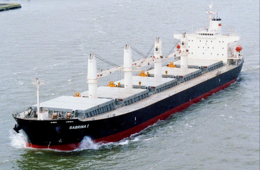 Bulk Carrier Ship Service