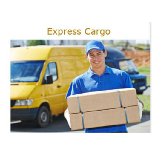 Pan India Door To Door Air Cargo Service, Mode Type: Airways