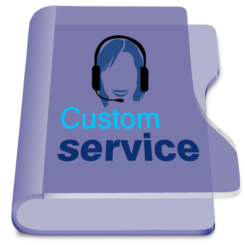 International Custom Adjudication Service, Delhi