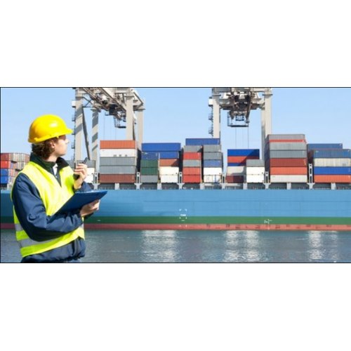 Cargo Survey Services, Pan India