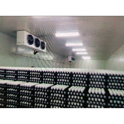 Meatalex Fully Automatic Eggs Cold Storage, 2 Degreec To 8 Degreec img