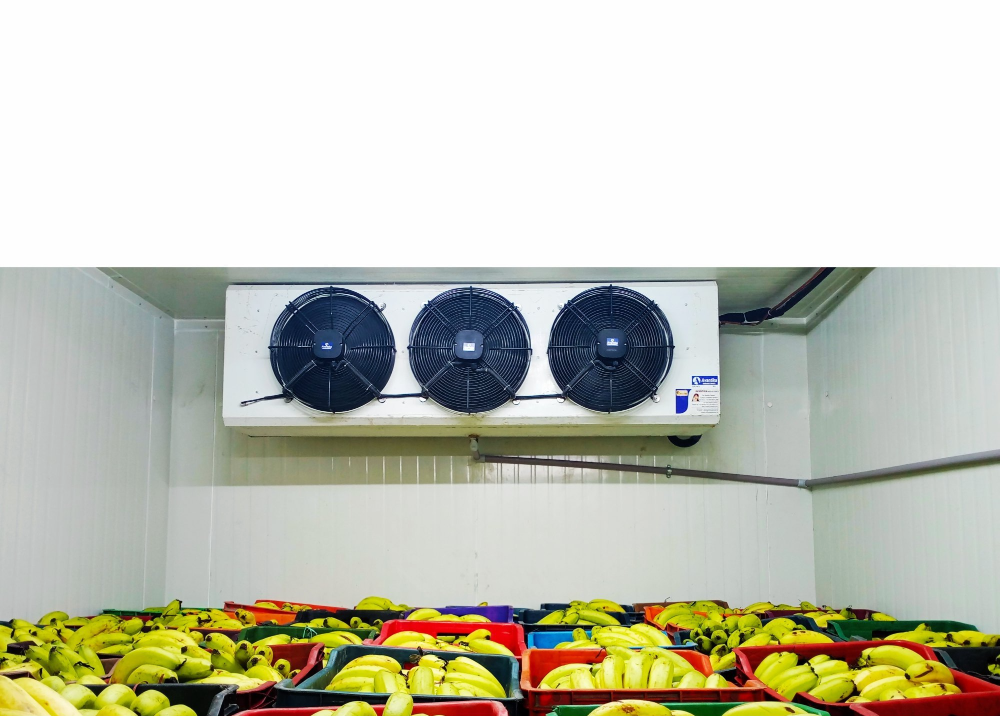 50 HZ Fully Automatic Dairy Product Cold Storage Room, -25 Celsius To +18 Celsius, 220 V