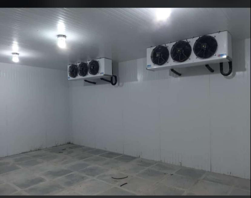 Stainless Steel Cold Storage Room Rental Services, Automation Grade: Fully Automatic