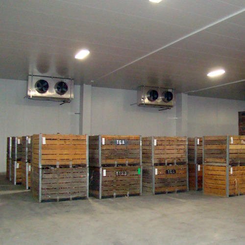 Cold Storage Room Rental Service