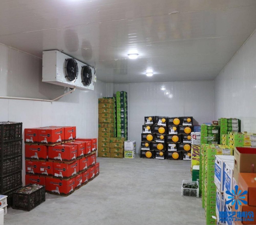 Commercial Fruits Cold Storage Rental Services, Automation Grade: Fully Automatic, 0 To 5 Deg.c img