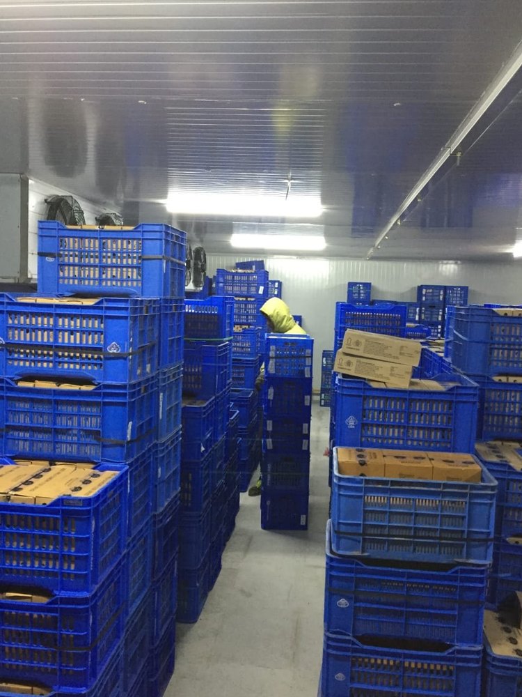 Cold Storage Room Rental Services img