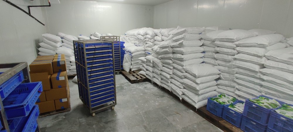 20 Mt Cold Storage Room Rental Services