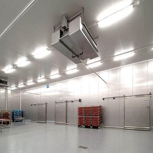 Puf Panel Fruits, Vegetable etc. Cold Storage Consultants img