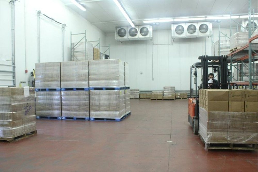 Stainless Steel Fruits Cold Storage Services, Automation Grade: Fully Automatic img