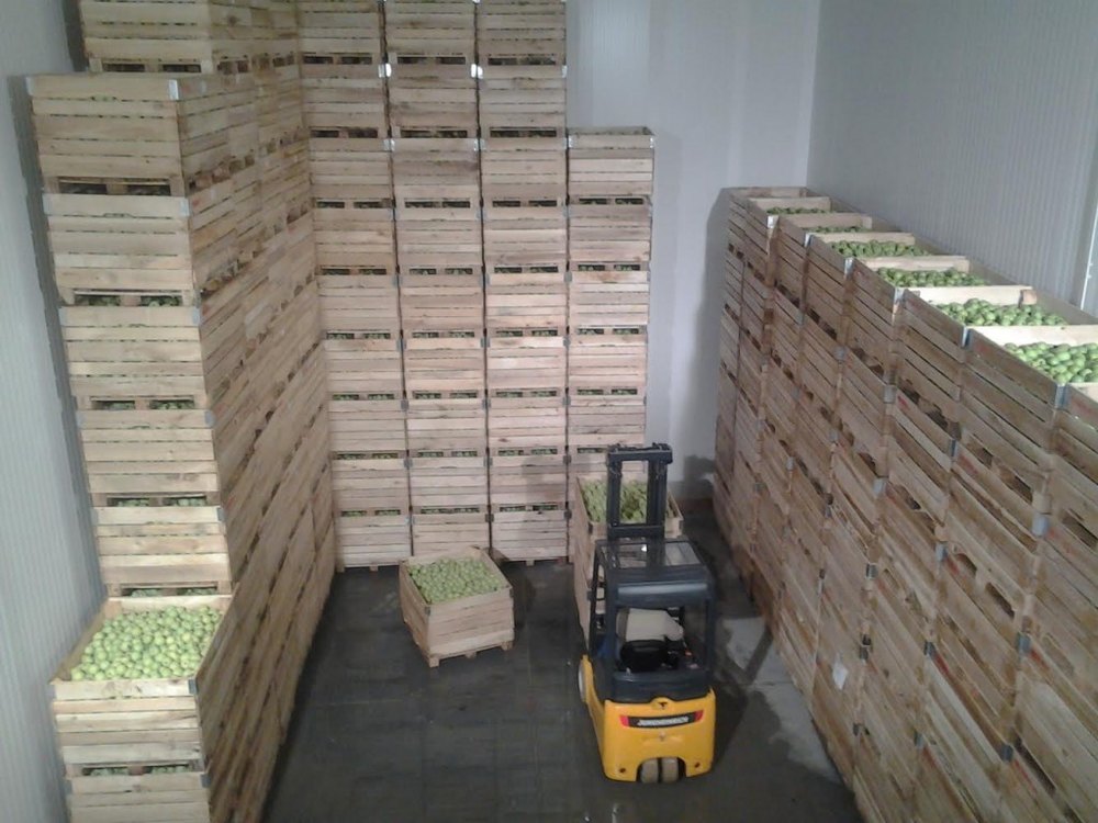 Ulo Storage For Fruit And Other Products