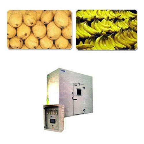 Fruits Fruit Storage Service