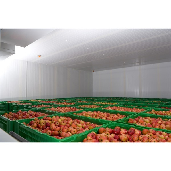 Mild Steel Fruits Apple Cold Storage Services, For Food Industry, -15 Degreec