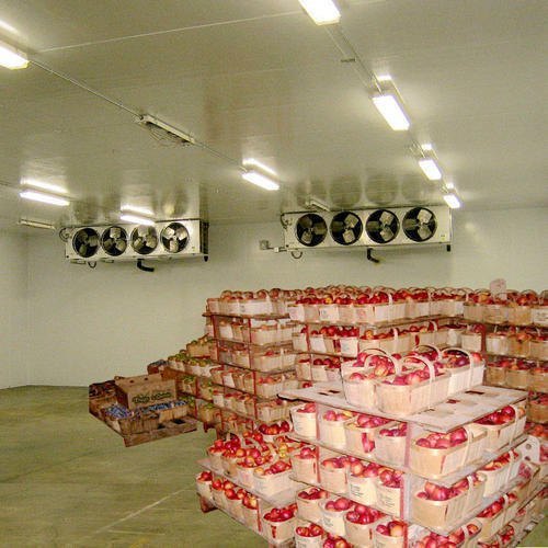 Fruits Cold Storage Services