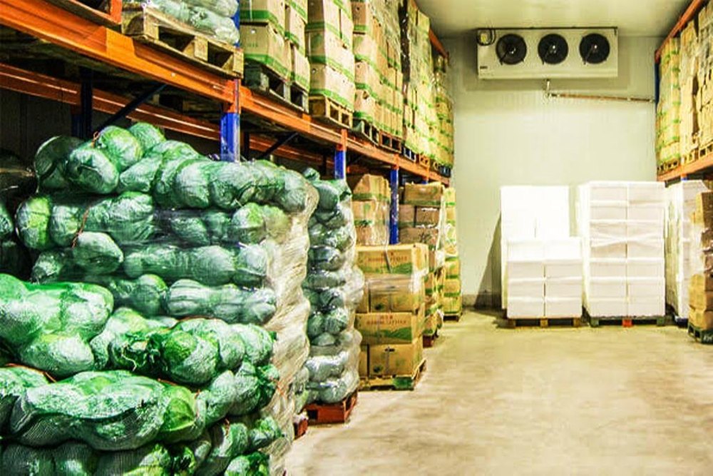 Commercial Vegetable Cold Storage Installation Services