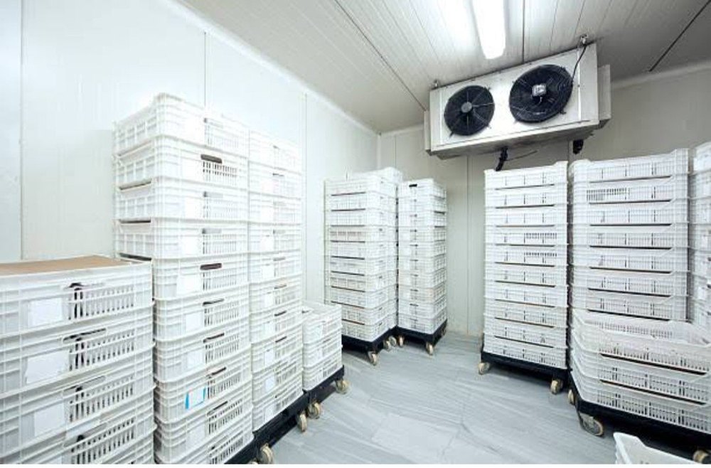 Bio-pharmaceuticals Cold Storage Services img