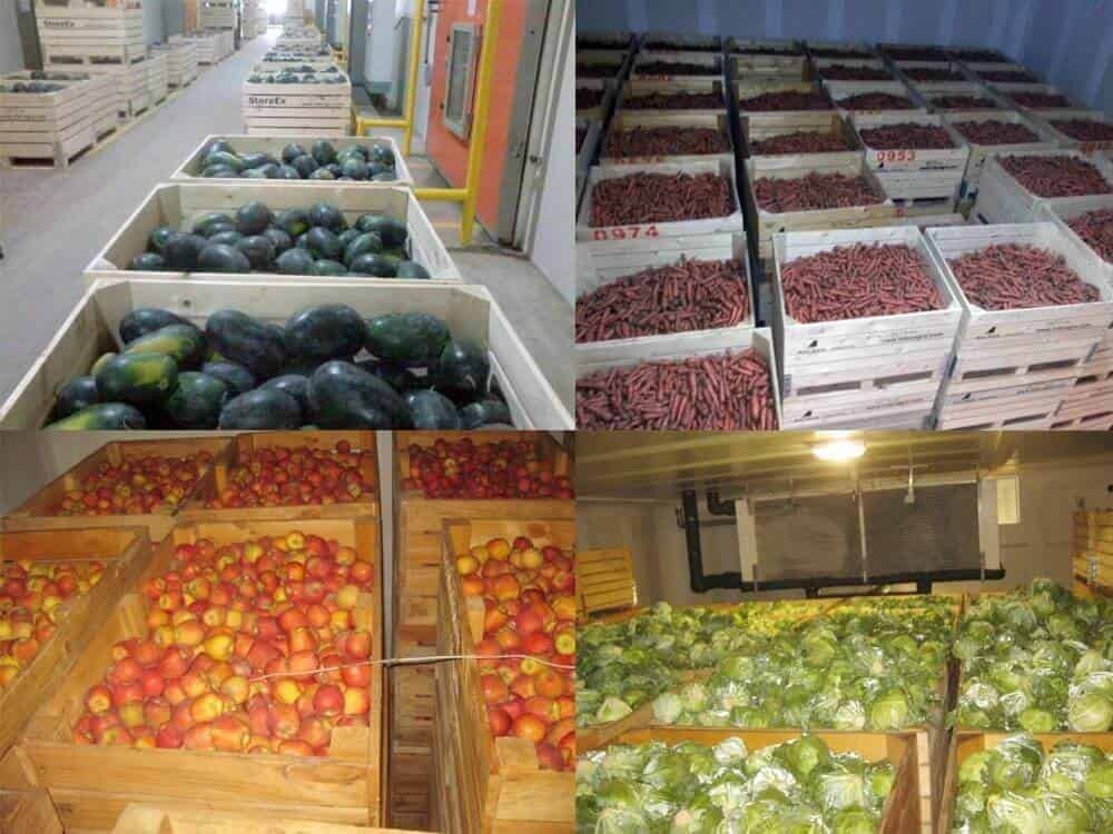 Fruit Cold Storage Service img