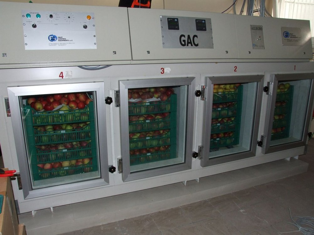 Stainless Steel Fruits Fruit Cold Storage Service, Automation Grade: Semi Automatic, -20 Deg C img