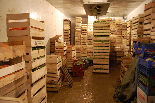 Fruit Storage Services img