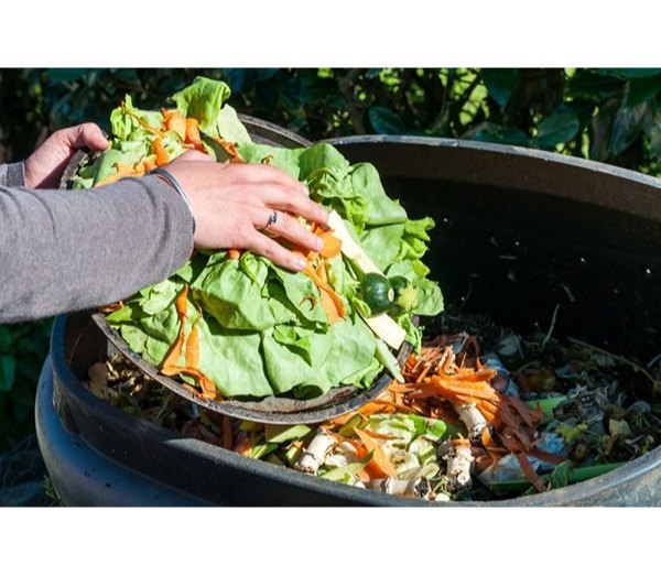 Food Waste Management Services img