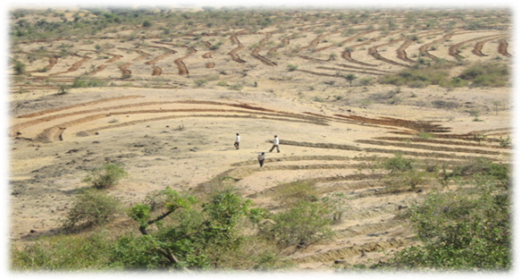 Soil And Water Conservation