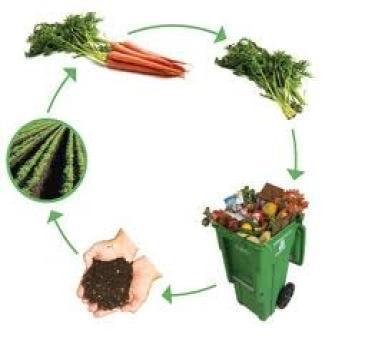 Organic Waste Treatment Service