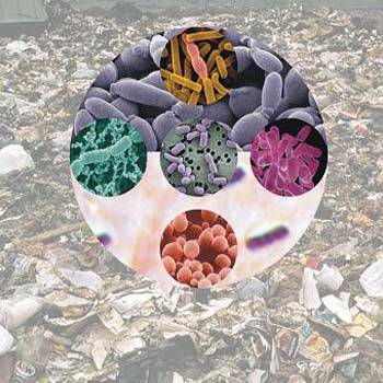 Solid Waste Treatment img