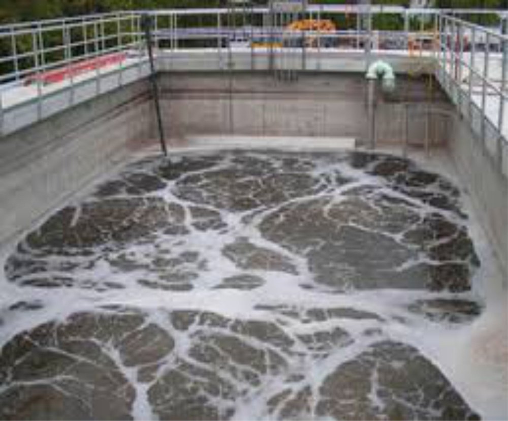 Sewage Treatment Plant Service