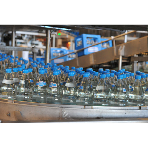 Water Bottling Plant Consultant Services