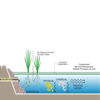 Sewage Water Treatment