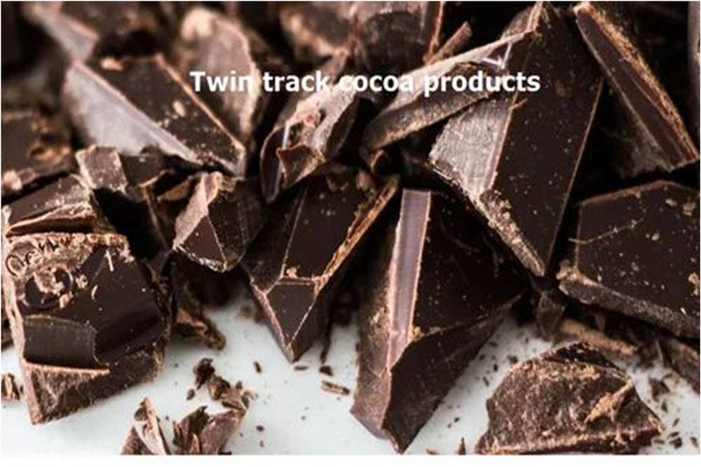 Live more Rectangular Home Made Chocolate