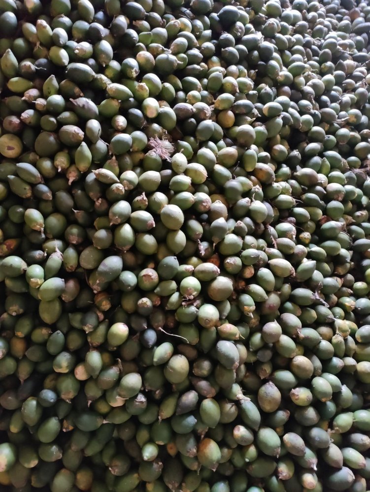 Betelnut Green, Packaging Size: 50 Kg img