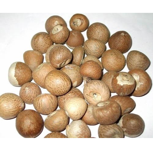 Areca Catechu - Supari, Packaging Type: Fiber Drums And Hdpe Drums, Pack Size: 5 Kg, 10 Kg And 25 Kg