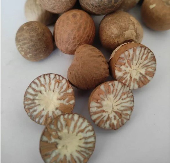 Areca Nut