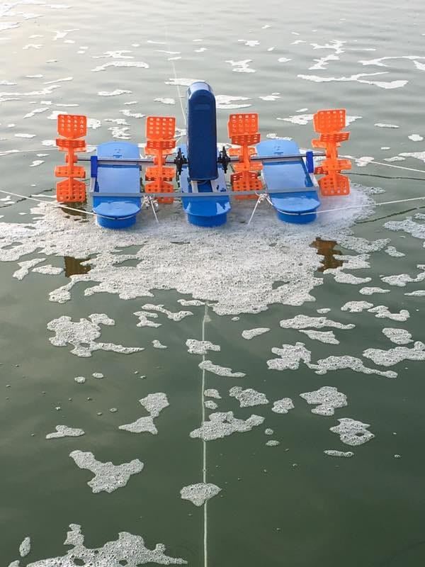 Surface Floating 2 Hp Aquaculture Paddle Wheel Aerator