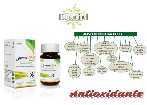 Streamline Capsules Natural Antioxidant, Packaging Size: 30 Capsules, Packaging Type: Plastic Bottle