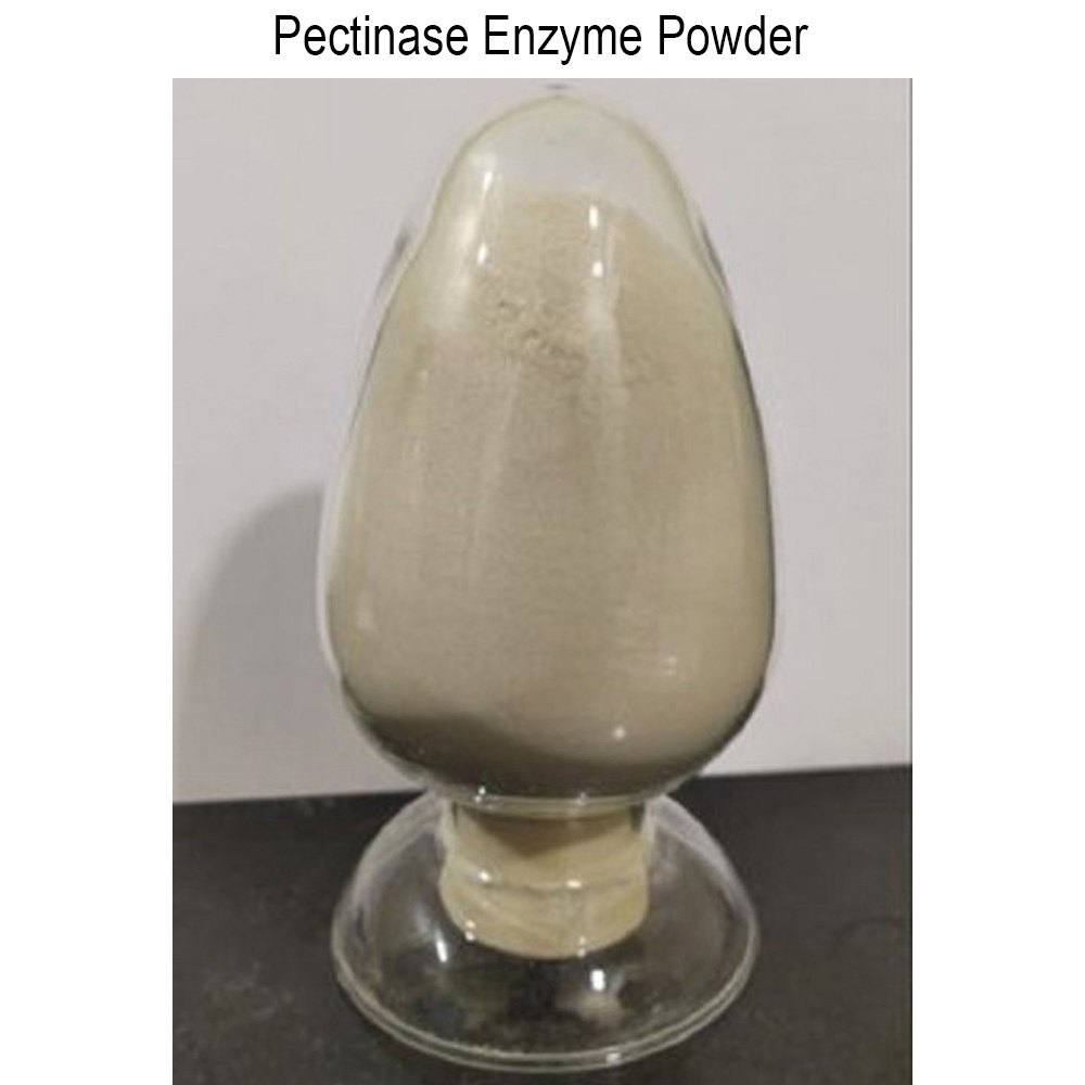 Pectinase Enzyme Powder, Packaging Size: 25 Kg Drum