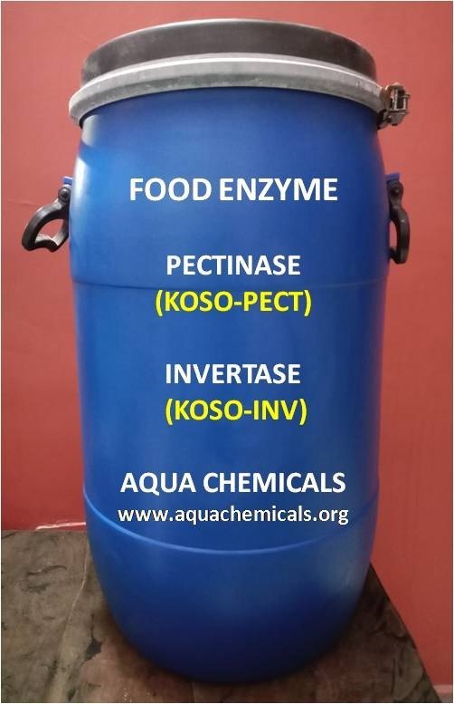 FOOD ENZYMES (Pectinase, Invertase, Glucose Isomerase, Trans-Glutaminase)