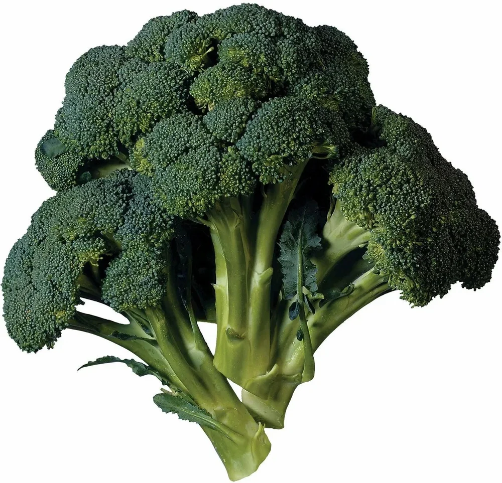 A Grade Green Broccoli, Packaging Type: Loose