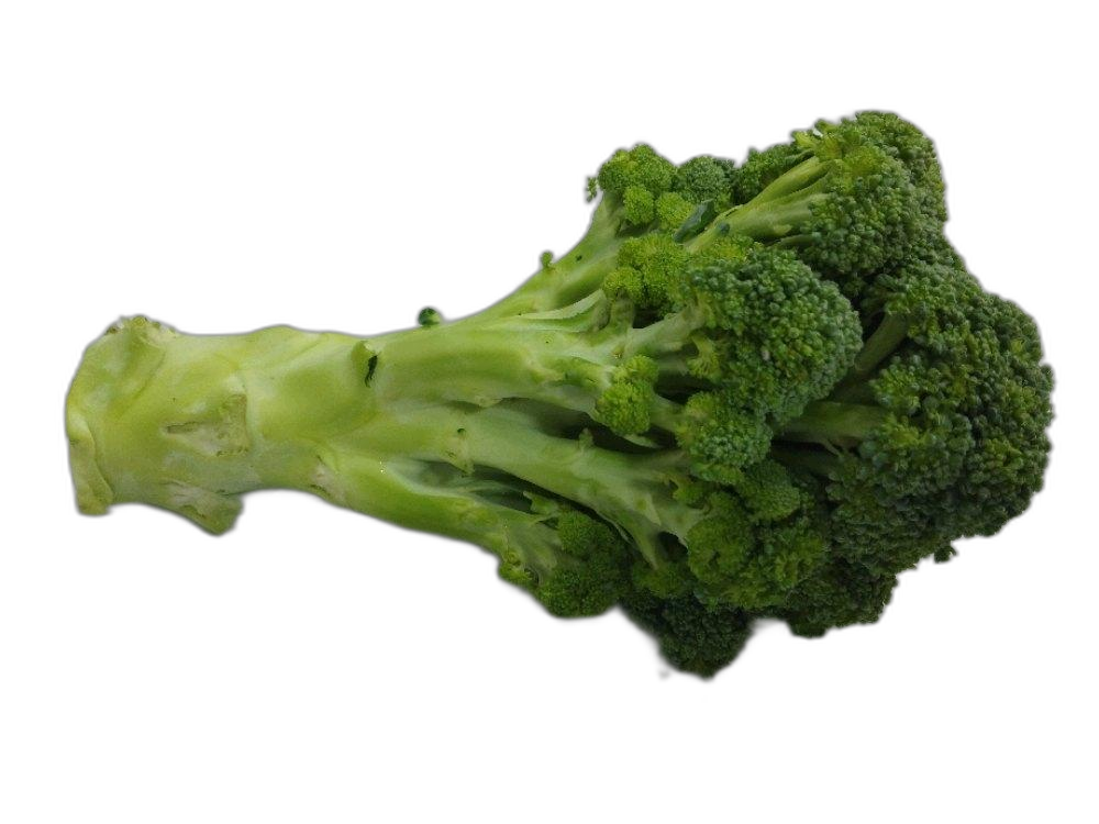 Fresh Green Broccoli, Packaging Type: Carton, Packaging Size: 20 Kg