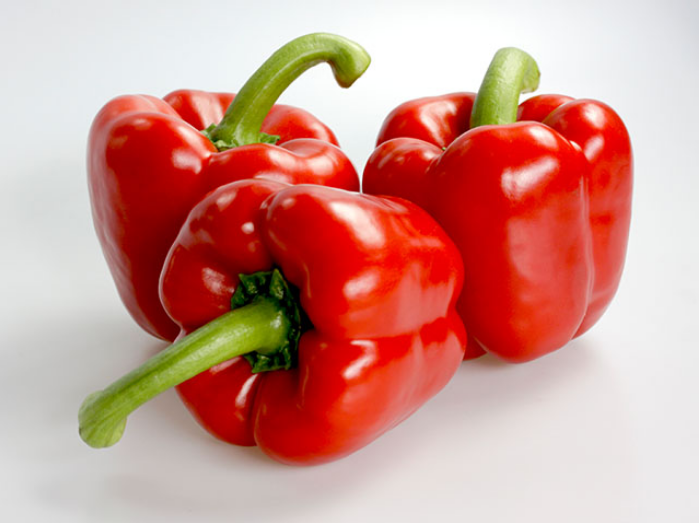 Enza Zaden Hybrid Coloured Capsicum Seeds/Bell Pepper, Packaging Type: Packet