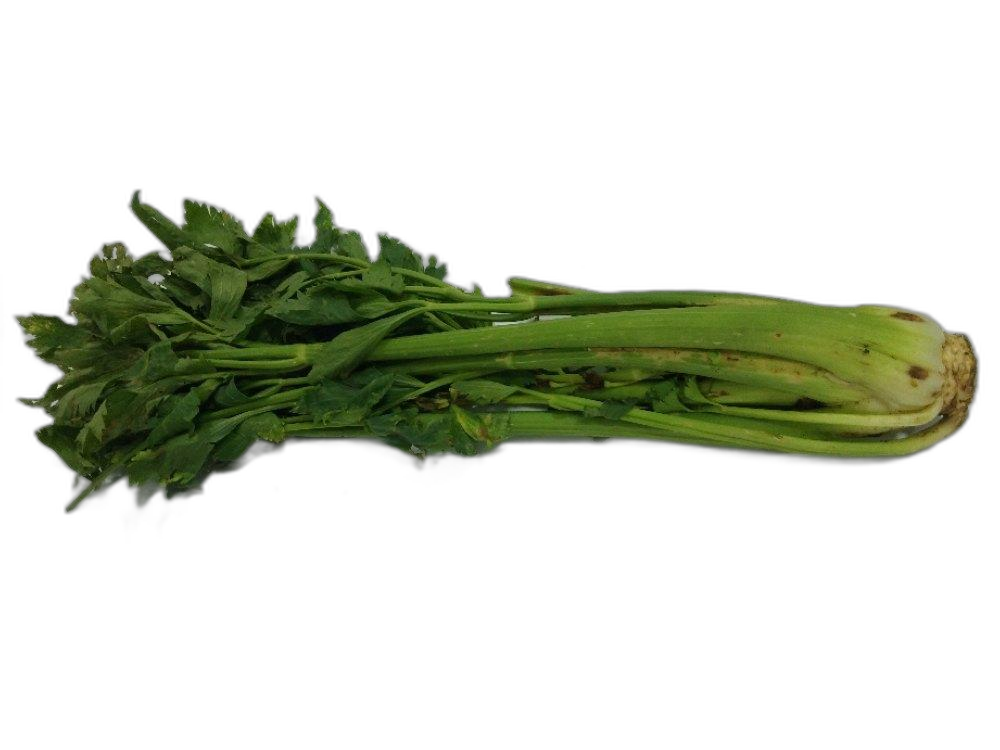 Green Celery Fresh, Packaging Type: Carton, Packaging Size: 10 Kg