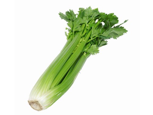 Leafy Sampanna Agro Celery