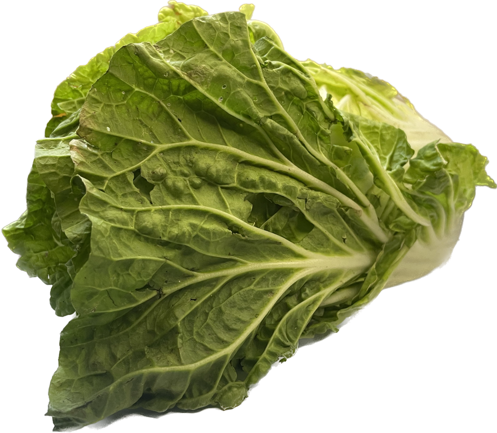 Fresh Chinese Cabbage, For Cooking, Packaging Type: Carton