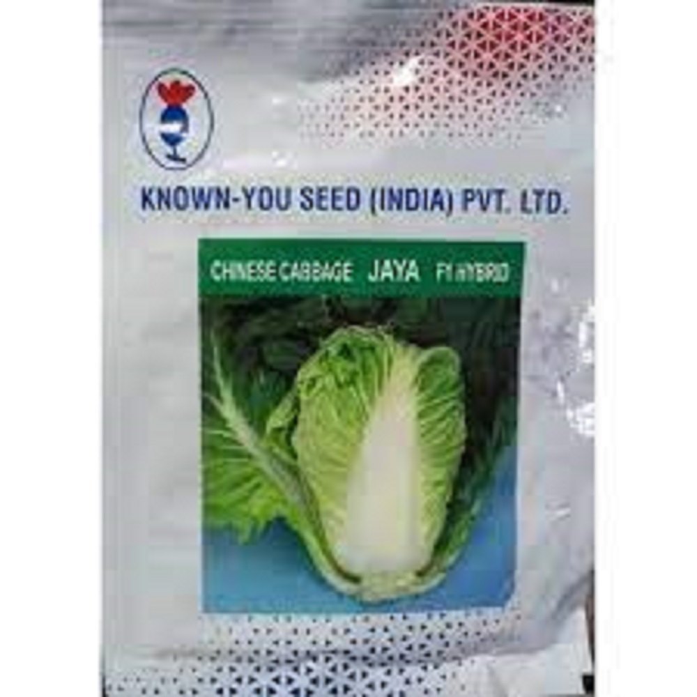 A Grade Green CHINESE CABBAGE JAYA, Packaging Type: PACKET, Packaging Size: 10 GM