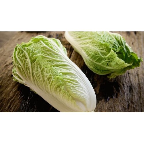 A Grade Green Chinese Cabbage, Packaging Size: 10 Kg, Packaging Type: Plastic Bag