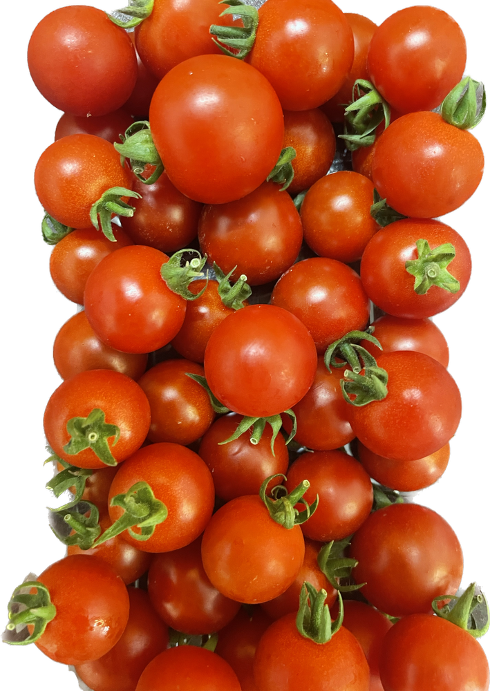 Red Cherry Tomatoes, Packaging Type: Carton, Packaging Size: 5 Kg